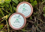 BLOOM | Lip Polish