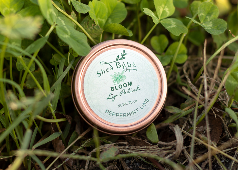 BLOOM | Lip Polish